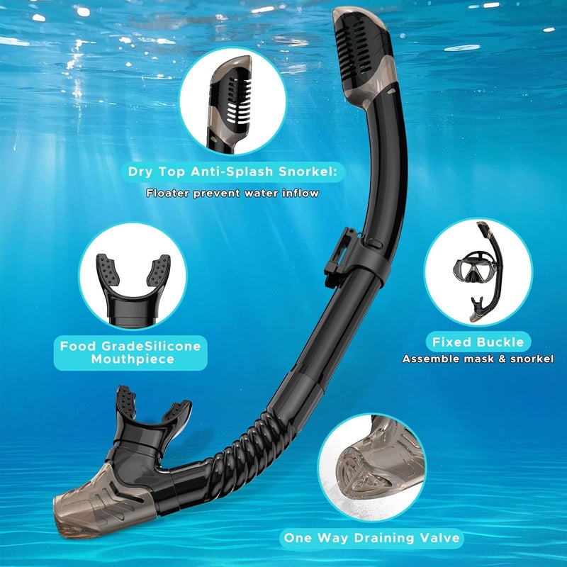 Jwintee 2 Pack Snorkeling Gear for Adults, Dry Snorkel, Mask Set Adult, Diving Scuba Mask, Scuba Gear, Swimming Goggles with Nose Cover, Swim Freediving Tempered Glass Panoramic View Travel Packages - Image 5
